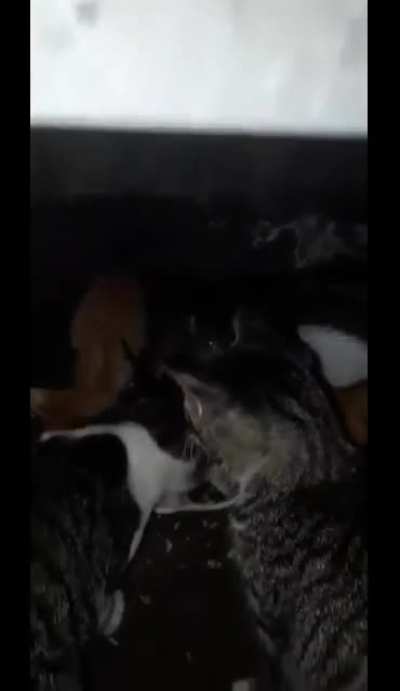 Act like you belong