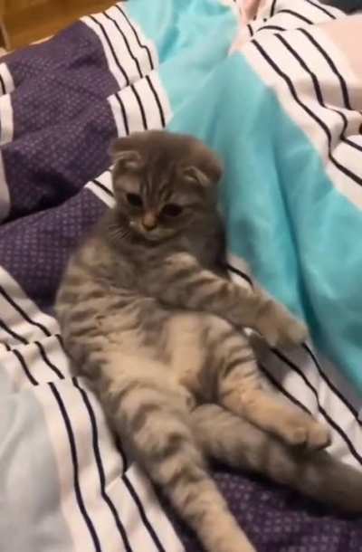 Don’t Touch Me...