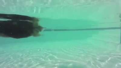 There are two types of Corgi swimmers