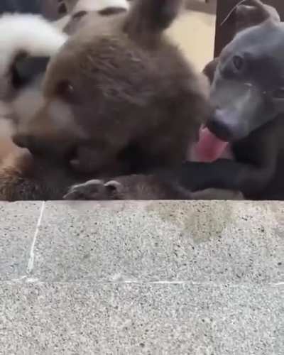 Весёлые друзья