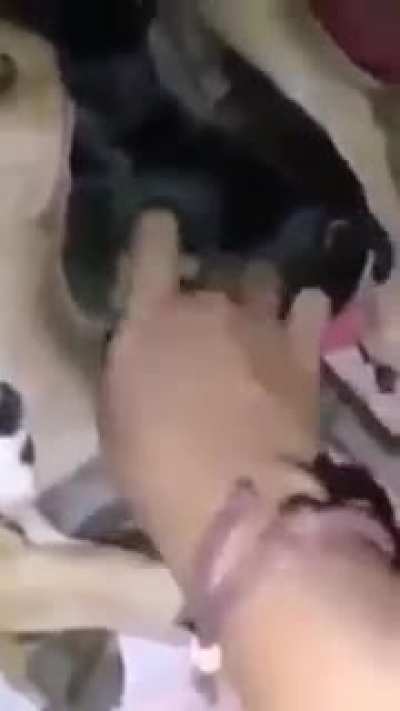 oooo aaaa sleep