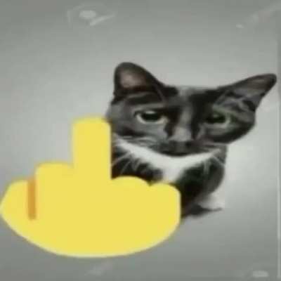 😸👍