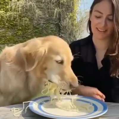 now i am hungry like a lion.
