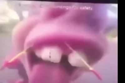 cursed_rear_camera