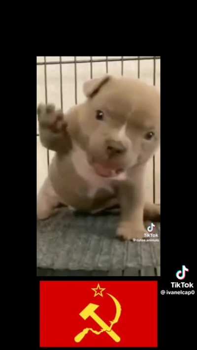 ð 