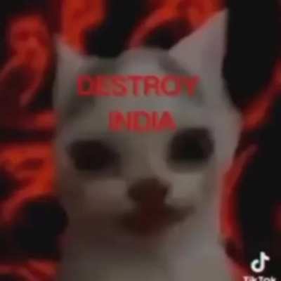 :)