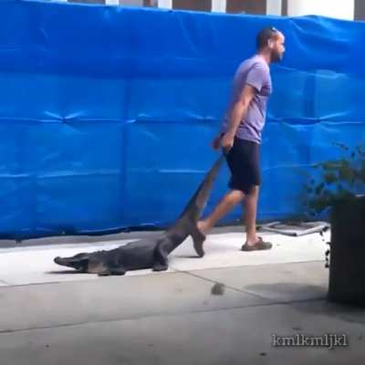 Just another day in Florida