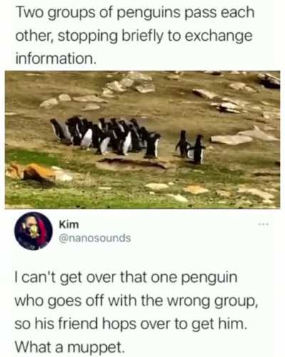 They’re friends!