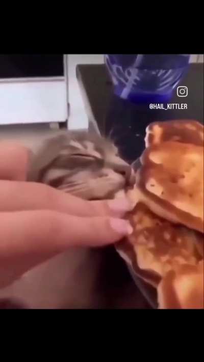 Tava muito bom