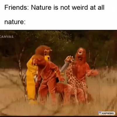 Not weird at all!