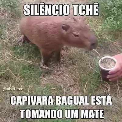 Silêncio Tchê !