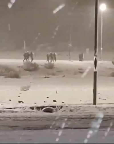Bariloche: fuerte despliegue policial