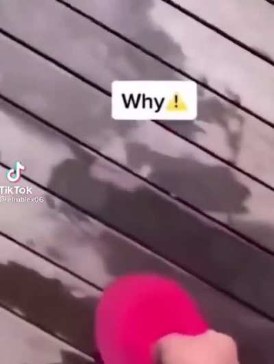 why