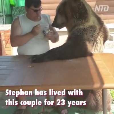 Bear with me