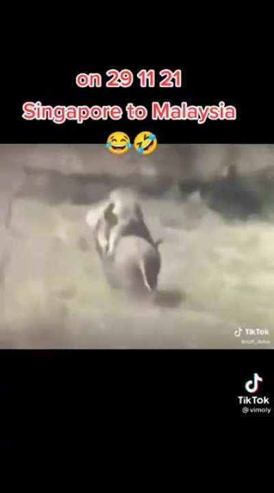 Here's an advice to you guys: Do not go to J.B 1st. Common sense dictates that a high joblessness rate = high possibility of crime rates in J.B. Singaporeans are GENERALLY perceived as well off by Malaysians due to the currency rates. Let other SGreans te