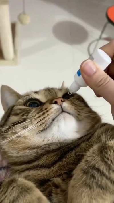 The actual Eyebleach