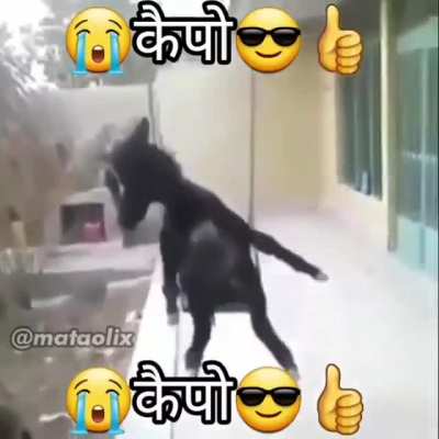 😎👍🏻