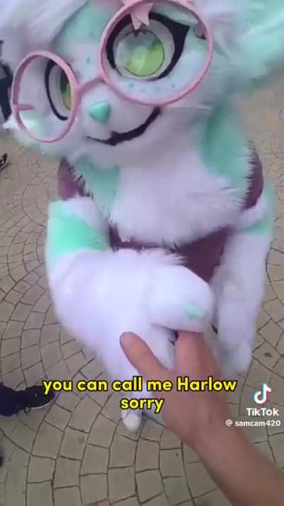 That -one- video