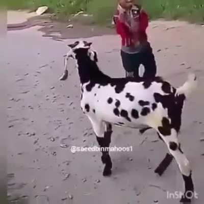 Ответ<wbr>очка.