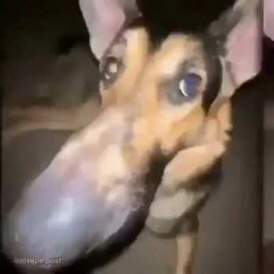 interesting title