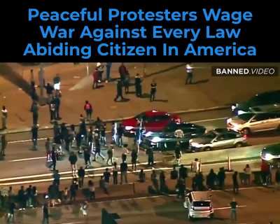 Peaceful Protesters Wage War Against Every Law Abiding Citizen In America