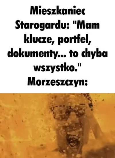 Polska_wpz