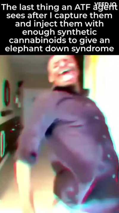 bozo