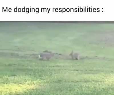 Talk about fast reflexes