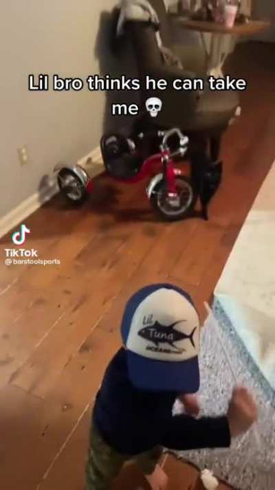 Funmy