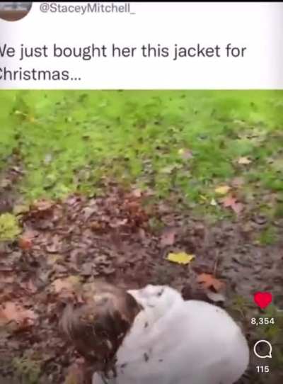 Kid got a new jacket for Christmas🥴