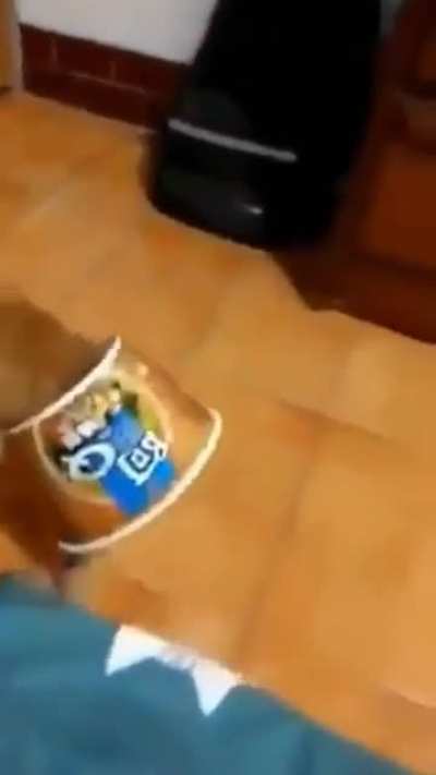 tadinho