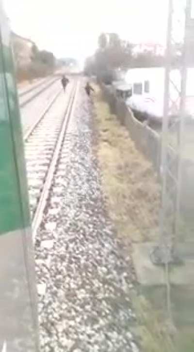 Two idiots hanging on a train in northern Italy, on the Milano-Varese line.