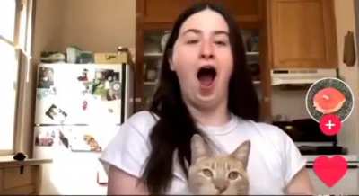 Based cat
