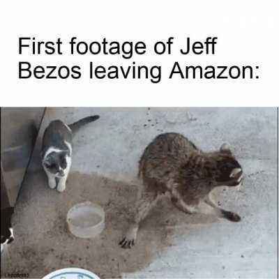 We hardly knew ya
