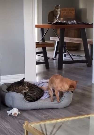 Excuse me I’m just going to sit…oh sorry…right here