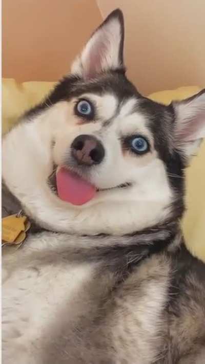 He’s just installing an update