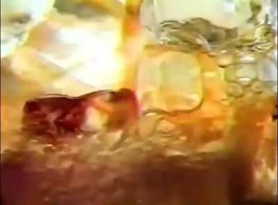 1986 Burger King Commercial