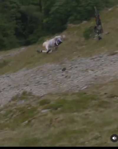WCGW doing something so so stupid without practicing cautiousness.