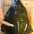 Fresh fish.