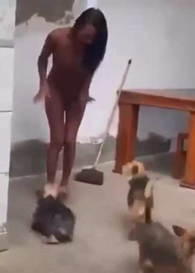Don’t mess up with the dogs