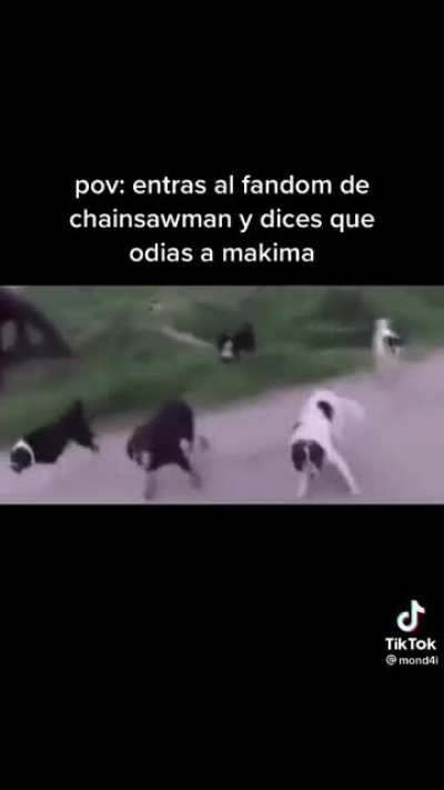 perros CSM