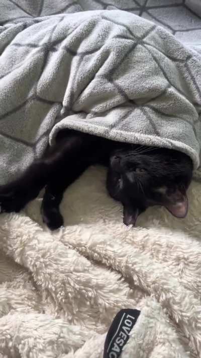 Good morning sunshine. Kylo is the opposite of cranky after naps