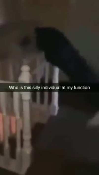 What a silly individual
