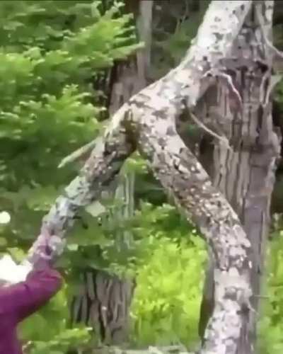 hot