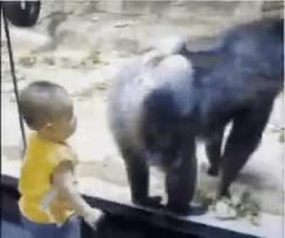 monke