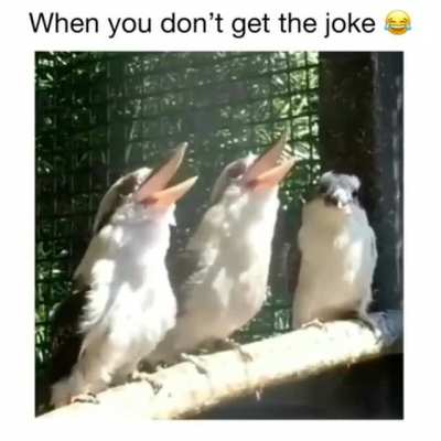 This happened to everyone