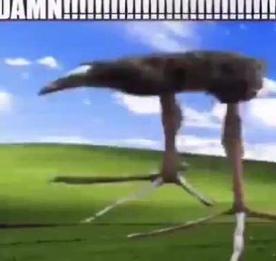 DAMN!!!!
