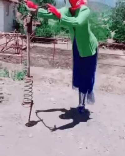 Automated scarecrow