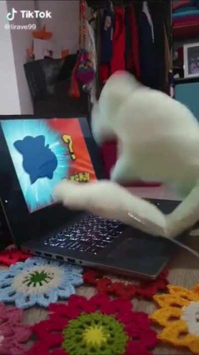 I can never guess the Pokémon.