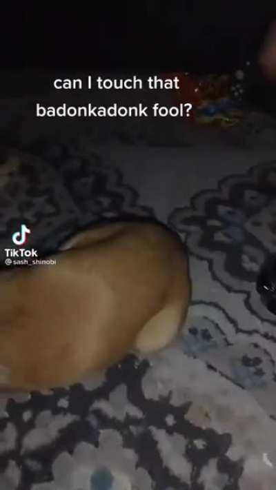 AAAAAAAAAAAAAAAA